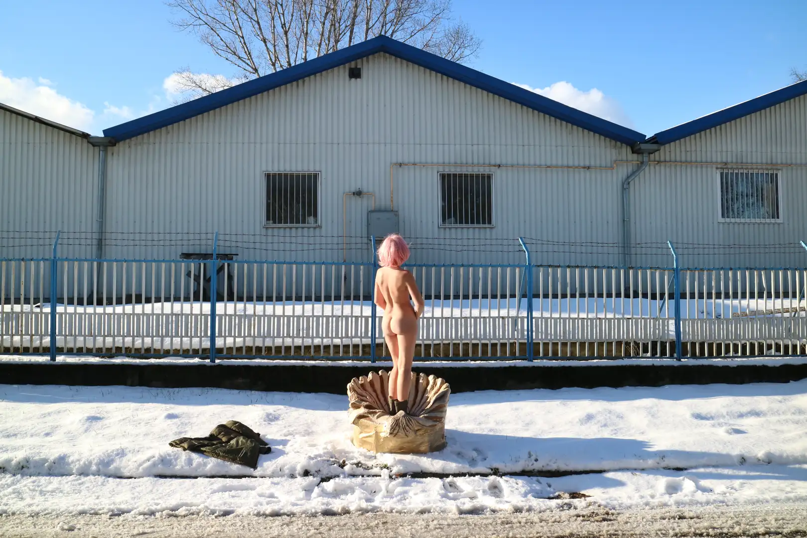 The Birth of Venus and Other Stories photograph